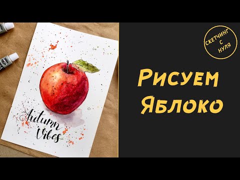 Как нарисовать яблоко акварелью. Уроки рисования для начинающих и для детей. How to draw apple