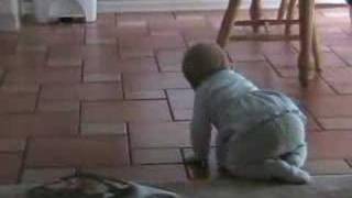Abby learning to crawl 2