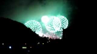 8 & The Italian Crazy Bunnies