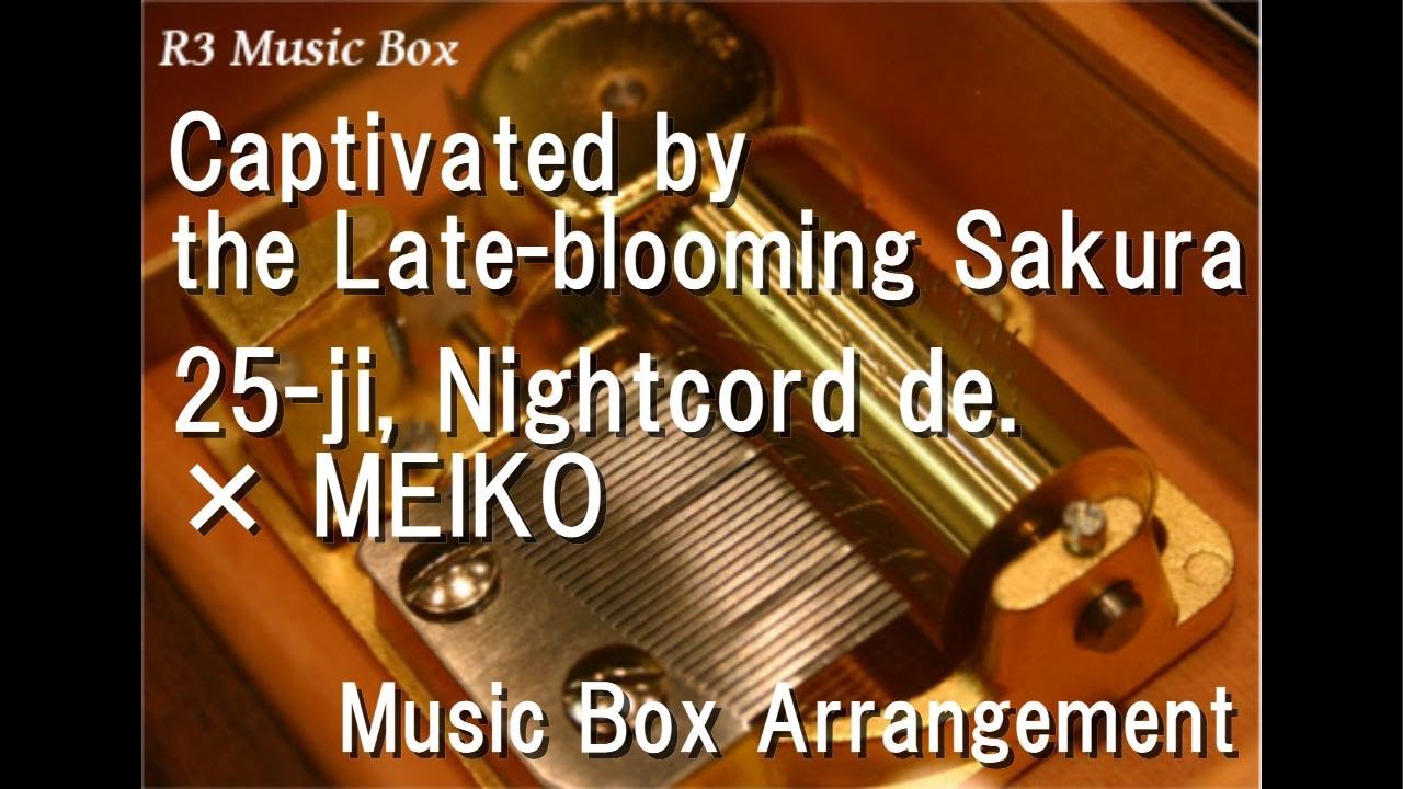 Captivated by the Late-blooming Sakura/25-ji, Nightcord de