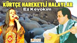 Kürtçe Hareketli Halaylar - Ez Kevokım Oy Çemo Melli Melli Govend Potpori