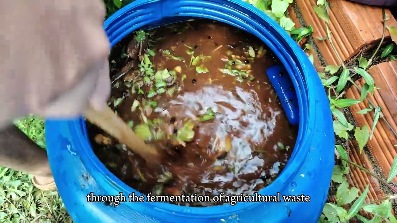 Value from waste project: Probiotic Nutrients for Agriculture (Hydroponic Farming)