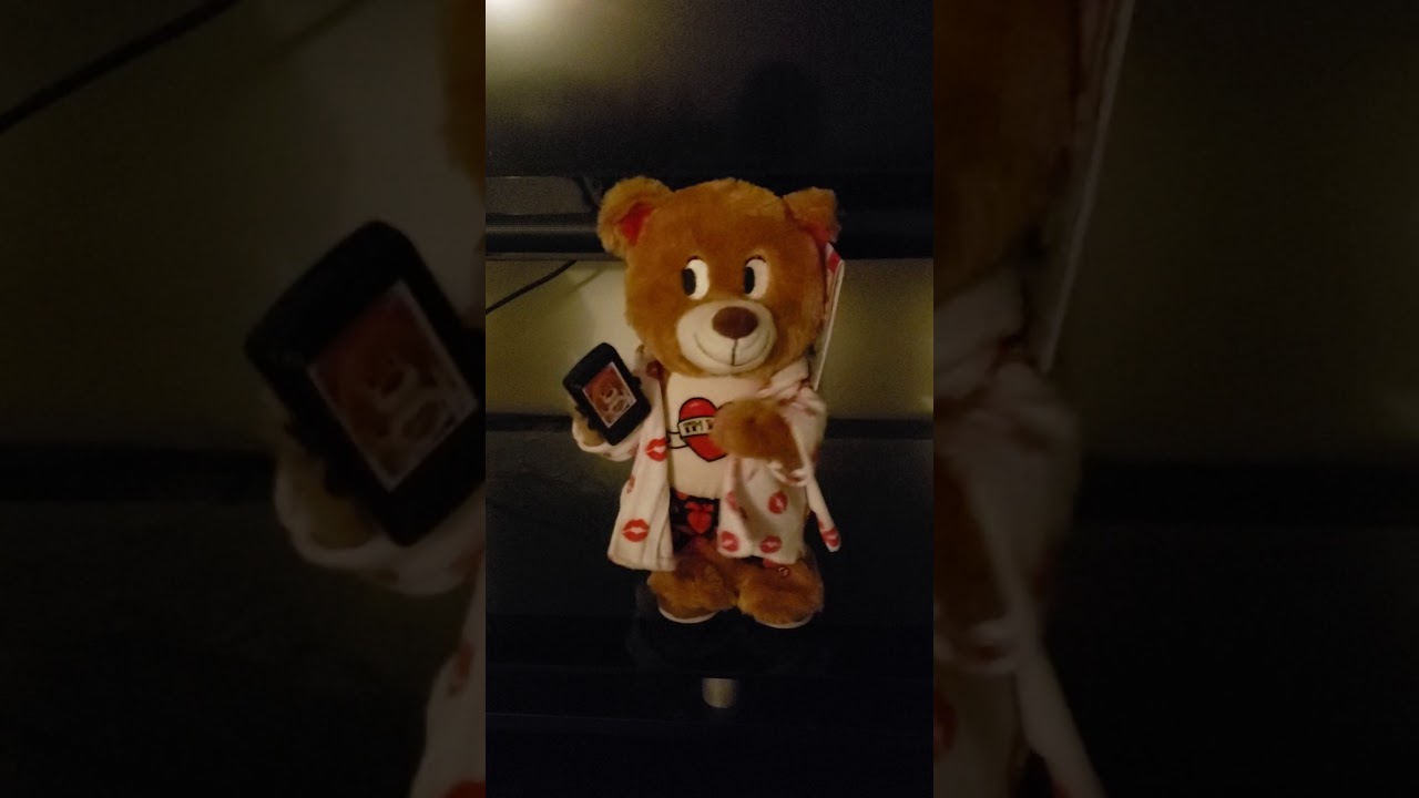 Gemmy animated flirty flasher selfie bear (Re upload)