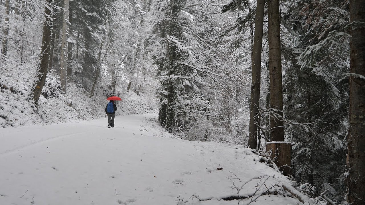Silent Winter Hiking in Falling Snow | Swiss Jura
