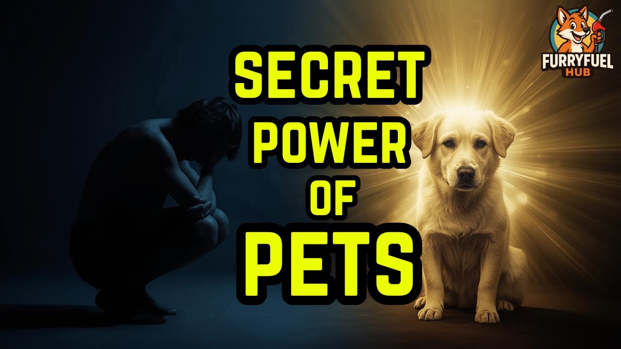 The Secret Power of Pets: How Animals Can Heal Stress, Anxiety, and Loneliness 🧘‍♀️🐾