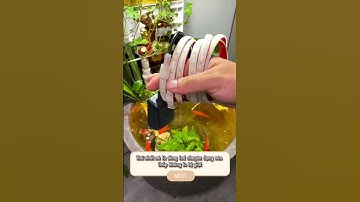 Review đèn led chìm 12v trang trí bể cá #cacanh77 #đènhồcá #aquariumlamp #aquarium