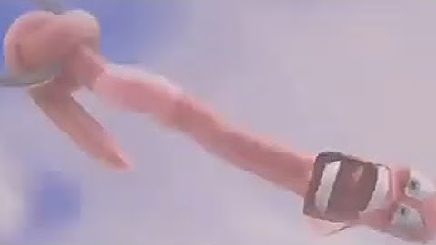 Crossover Scene: The Worm Flying in The Clouds by The DWA Kid