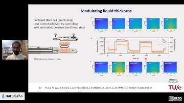 Nanotalks - Liquid phase (S)TEM: A developing toolbox to visualize bio-nano mechanisms