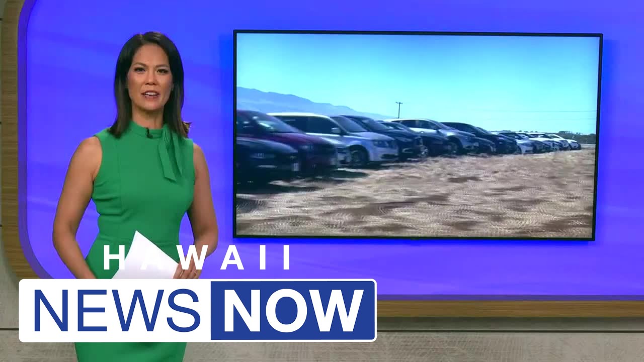 18,000 rental cars are sitting idle at Kahului’s airport — a dramatic