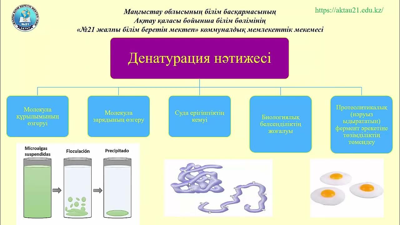 Атақтылардың жалаңаш писькилері бар