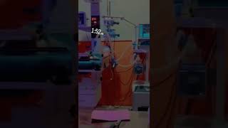 happy nurse's day #youtubeshorts #medicalstudent #nursing #india #lover #mbbs #shortvideo