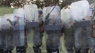 NEO - Noncombatant Evacuation Operation with U.S. Marines in Japan