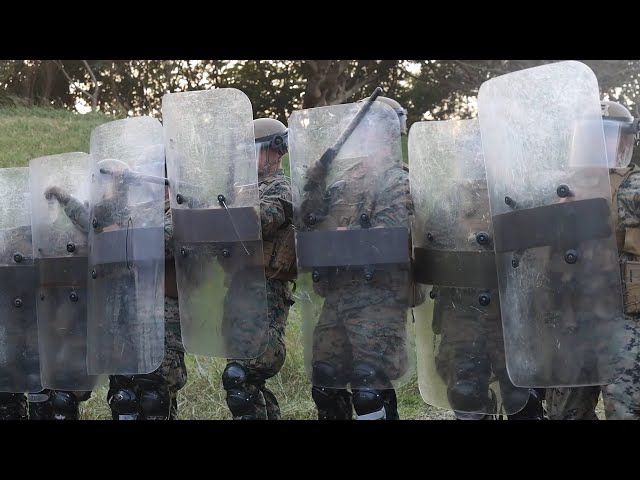 N.O.R.O.・Next Okinawan Riot Operation NEO - Noncombatant Evacuation Operation with U.S. Marines in Japan