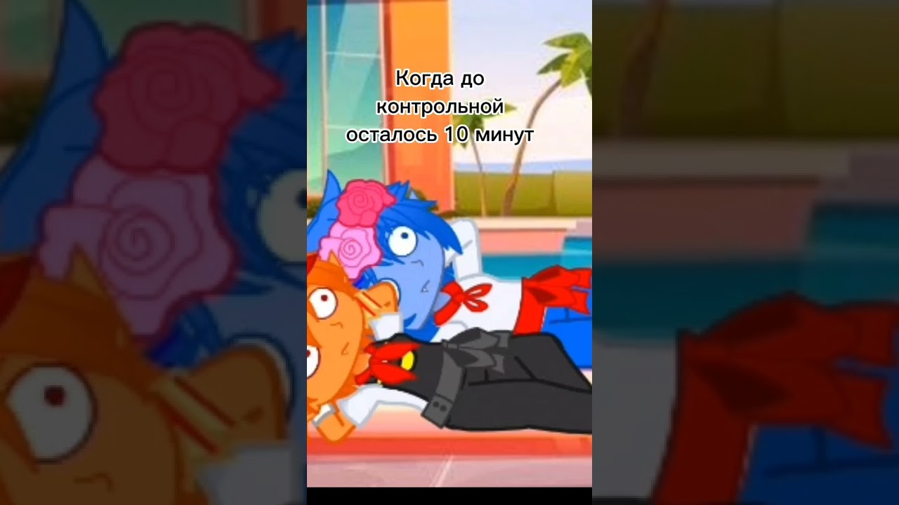 Когда до контрольной осталось 10 минут 