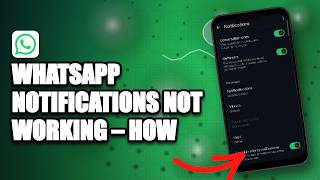How to Fix WhatsApp Notifications Not Working 2026?