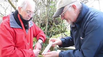 Interactive Documentary: Treasure