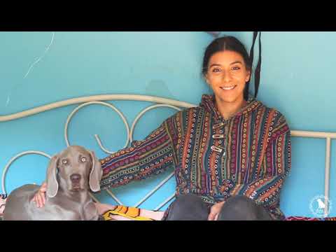 ლილუ \u0026 სოფო #რინგოსმეგობრები