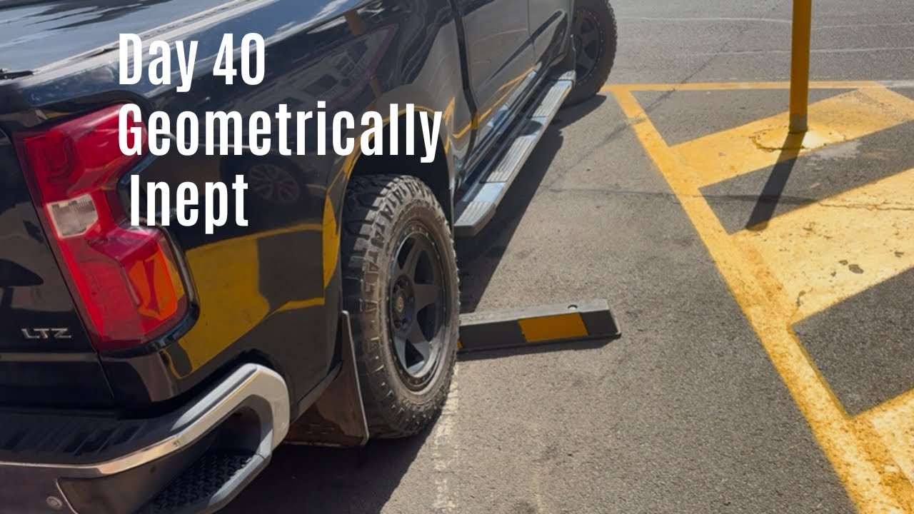 Day 40 - Bad driving / Parking