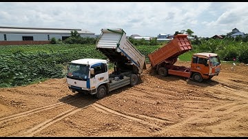 Amazing Dozer Skills! Landfill Project Begins with 5 Ton Dump Truck Soil Unloading
