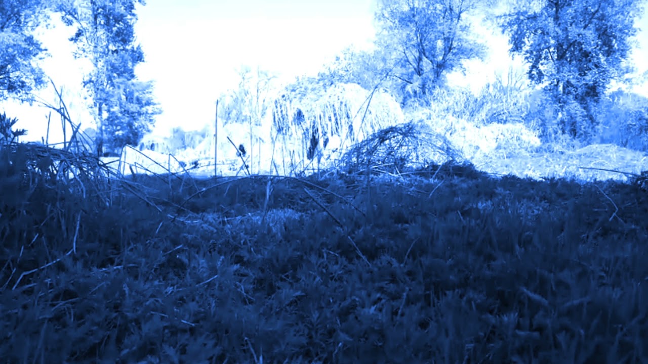 Watch 04. Thin King - Bellow on YouTube Watch 04. Thin King - Bellow on YouTube