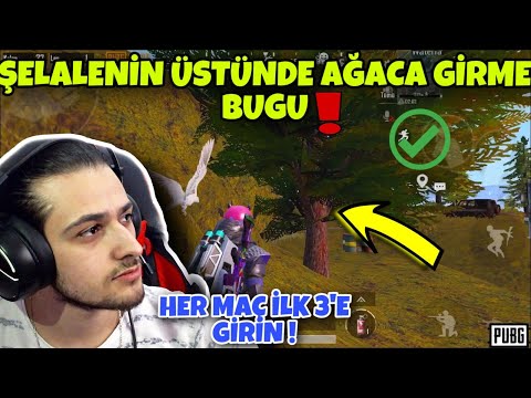 WATERFALL AĞAÇ BUGU ! LİVİK HARİTASINDA İLK 3 GİRMENİN EN KOLAY YOLU ! | PUBG MOBİLE #pubg #shorts