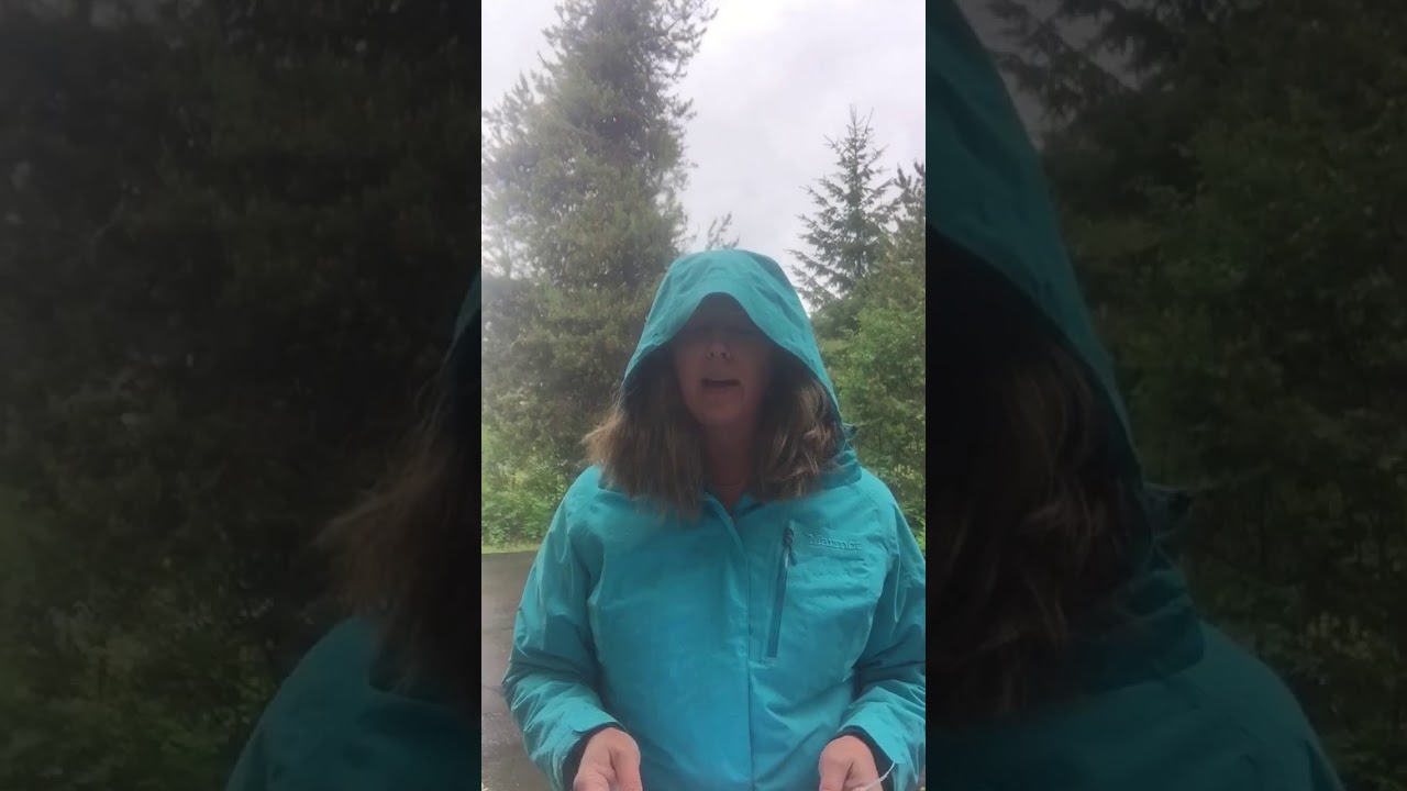 nationals vs cubs 2018 June 1 Rivers, Roads, and Trails Report for Glacier National Park