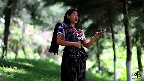 Linda Patty M Jimenez.  (Compositor)Grie...  Palac...