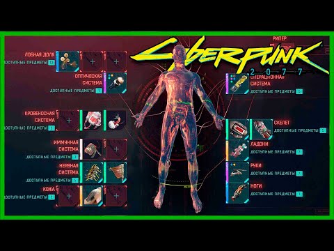 Cyberpunk 2077 Что купить у риперов