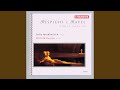 Miniature de la vidéo de la chanson Violin Sonata: Iii. Perpetuum Mobile. Allegro