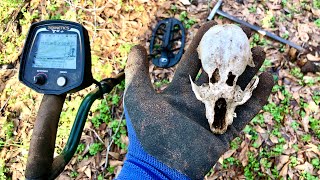 Metal Detecting! What Will I Find In the Woods of a Murderer's House? screenshot 4
