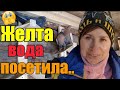 Секреты раскрываю//Дворовые работы//Не хватает молока//Филе нос укоротили🙊