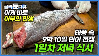 고단하지만 이 맛에 산다! 커다란 대왕 민어를 잡아라!┃망망대해 폭풍 속 9박 10일, 민어 전쟁┃이게 바로 어부의 인생┃오늘도 이룬 만선의 꿈┃겨울 민어잡이┃극한직업┃#골라듄다큐