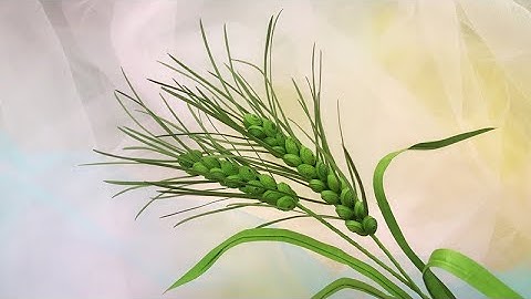 ABC TV | How To Make A Wheat Branch Paper | Paper Quilling - Craft Tutorial