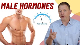 Male Hormones  What do you need to know