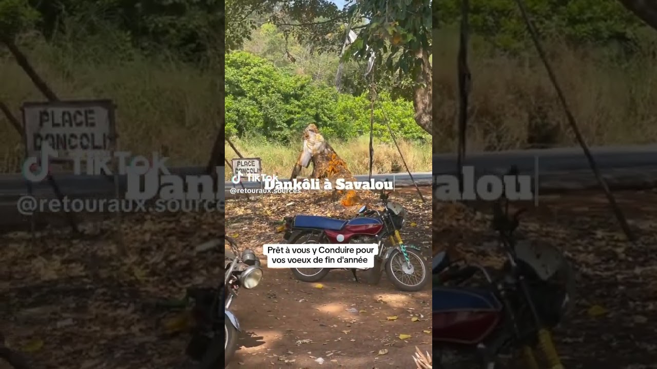 DANKOLI DE SAVALOU 