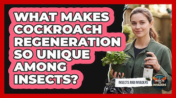 What Makes Cockroach Regeneration So Unique Among Insects? - Insects and Invaders