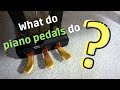 What Do Piano Pedals Do?