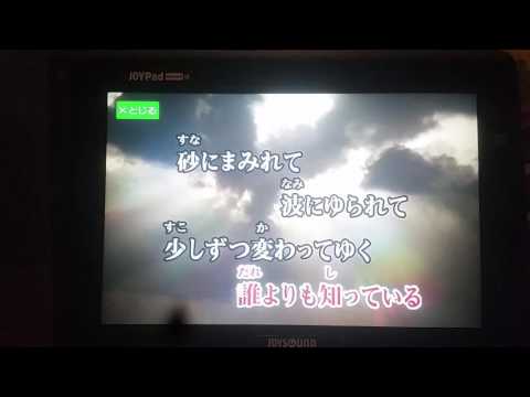 島人ぬ宝歌ってみた