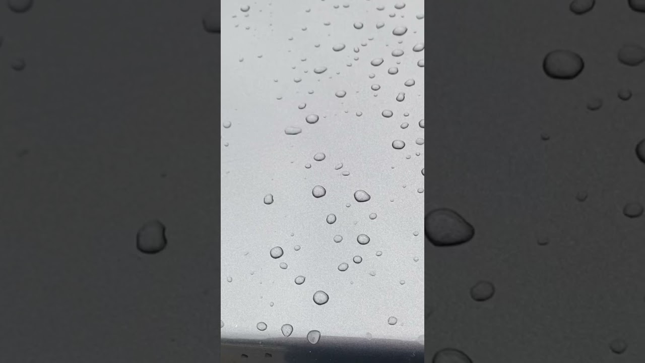 New Cuddeback CuddeLink Trail Cam system 