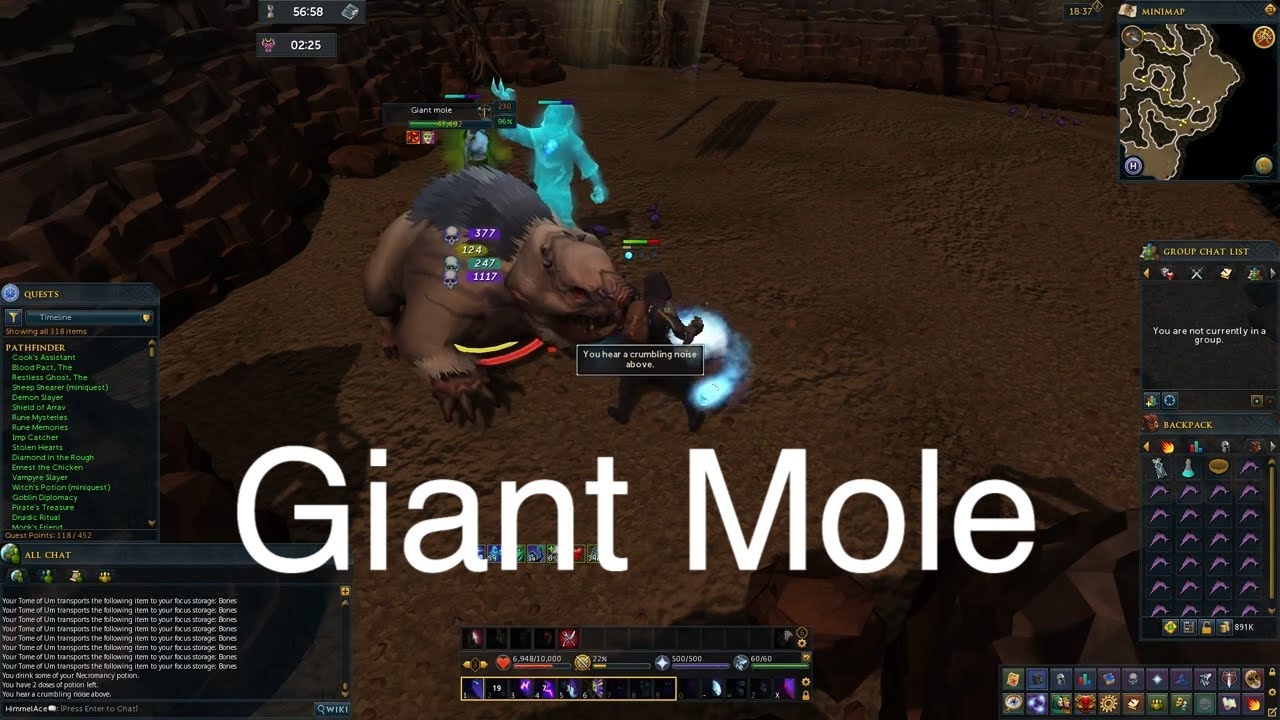 Fighting the Giant mole - Runescape