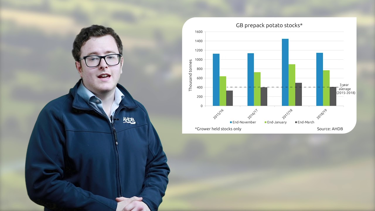 council of states Potato stocks: where are we by the end of March?