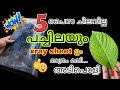 😱💯5 പൈസ ചിലവ് പോലും ഇല്ല പച്ചിലയും x ray ഷീറ്റ് ഉം മാത്രം മതി 😱| xray sheet craft idea | #diy
