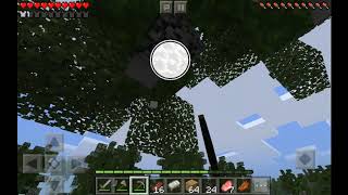 Minecraft Animals Wir Finden Ein Orca