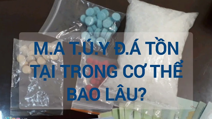 Bao nhiêu ngày nữa tao có bồ năm 2024