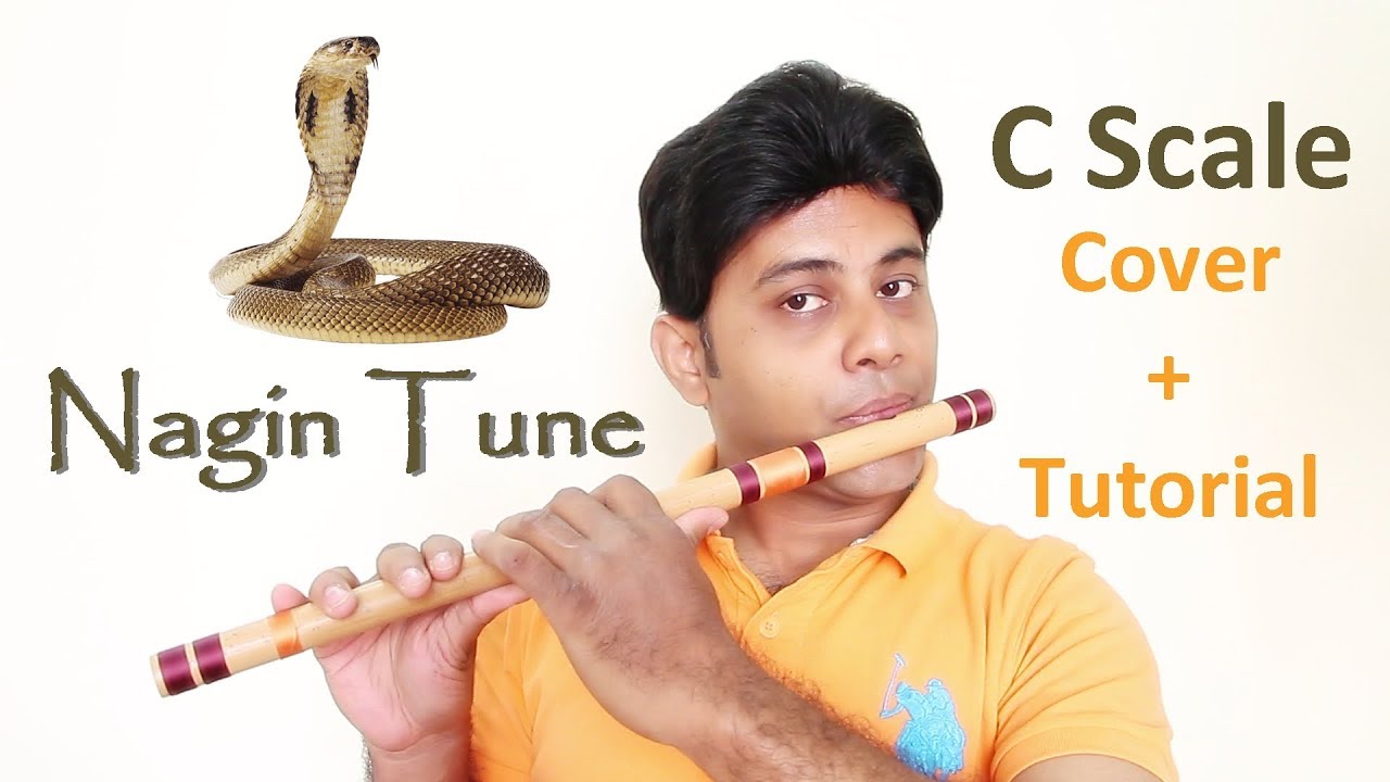 Nagin Tune Flute Lesson       Snake Charmer Tune Divine Bansuri