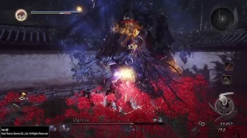 Nioh - Ogress - Level 1 Flawless - No Roll/Block/Dodge