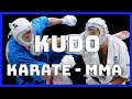 KUDO &quot;EL BUDO EN LAS MMA&quot; del KARATE a las artes marciales mixtas