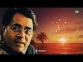 Jagjit Singh | Hazaron Khwahishein Aisi | Lyrical | Best of Jagjit Singh Ghazals Mp3 Song