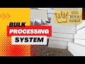 Bulk processing system for trading cards