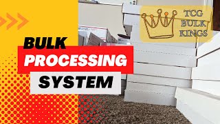 Bulk Processing System for Trading Cards